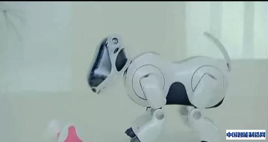 盘点世界上最可爱的机器人